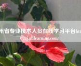 贵州省专业技术人员在线学习平台http://gzzj.ghlearning.com/
