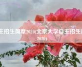 自主招生简章2020(北京大学自主招生简章2020)