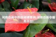 河南省高中阶段成绩查询(河南省高中服务平台)