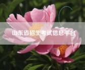 山东省招生考试信息平台