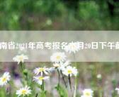云南省2021年高考报名本月20日下午截止