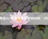 河南省2011年高考成绩查询时间：6月25日
