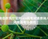 河南省教育厅官网2020高考成绩查询入口 河南高考分数线