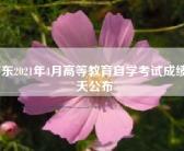 广东2021年4月高等教育自学考试成绩今天公布