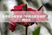 永清县法院参加“中国法官培训网”开网仪式
