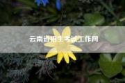 云南省招生考试工作网