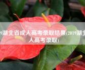 2019湖北省成人高考录取结果(2019湖北成人高考录取)