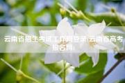 云南省招生考试工作网登录(云南省高考报名网)