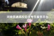 河南普通高校招生考生服务平台