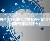 河南高等学校招生信息服务平台(河南省成招考生服务平台)