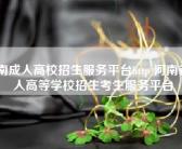 河南成人高校招生服务平台http 河南省成人高等学校招生考生服务平台