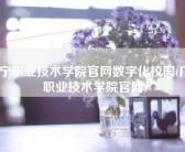南宁职业技术学院官网数字化校园(广西职业技术学院官网)
