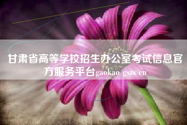 甘肃省高等学校招生办公室考试信息官方服务平台gaokao gszs cn