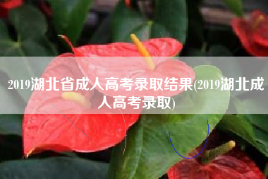 2019湖北省成人高考录取结果(2019湖北成人高考录取)