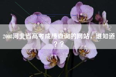 2008河北省高考成绩查询的网站，谁知道？？