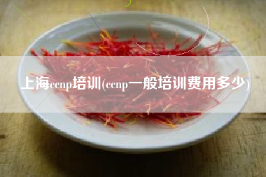上海ccnp培训(ccnp一般培训费用多少)