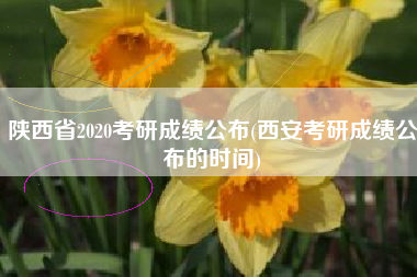 陕西省2020考研成绩公布(西安考研成绩公布的时间)