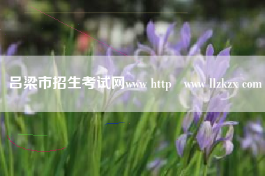 吕梁市招生考试网www http   www llzkzx com