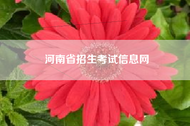 河南省招生考试信息网