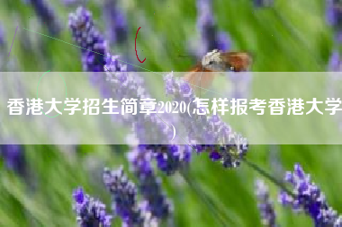 香港大学招生简章2020(怎样报考香港大学)