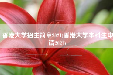 香港大学招生简章2021(香港大学本科生申请2021)