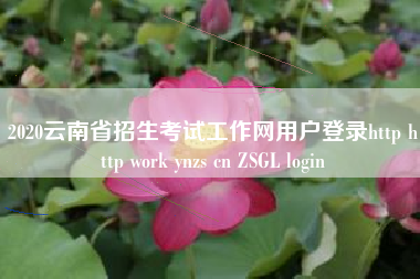 2020云南省招生考试工作网用户登录http http work ynzs cn ZSGL login