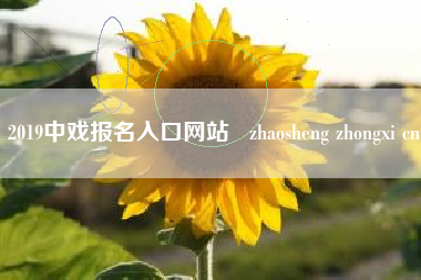 2019中戏报名入口网站   zhaosheng zhongxi cn