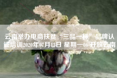 云南举办电商扶贫“三品一标”品牌认证培训2020年07月13日 星期一06 开放云南