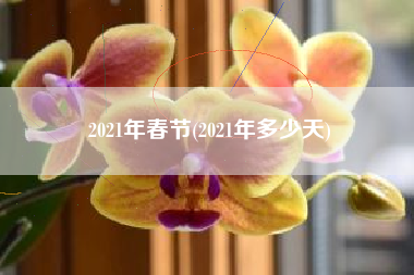 2021年春节(2021年多少天)