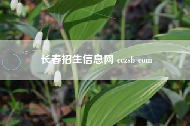 长春招生信息网 cczsb com