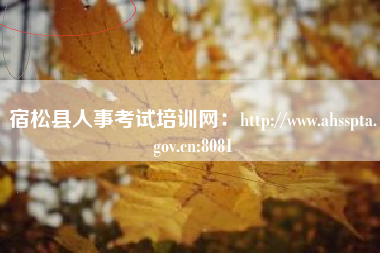 宿松县人事考试培训网：http://www.ahsspta.gov.cn:8081