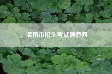 渭南市招生考试信息网