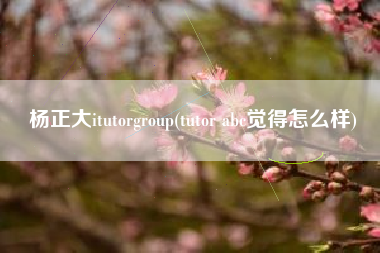 杨正大itutorgroup(tutor abc觉得怎么样)