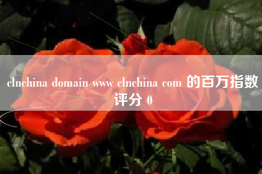 clnchina domain www clnchina com 的百万指数评分 0