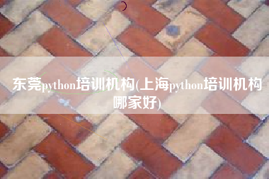 东莞python培训机构(上海python培训机构哪家好)