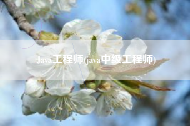 Java工程师(java中级工程师)