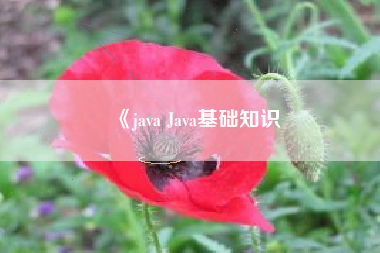 《java Java基础知识
