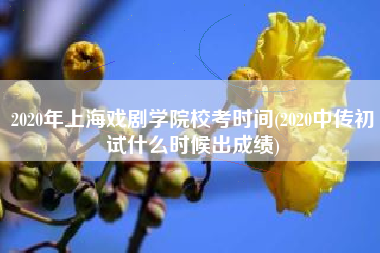 2020年上海戏剧学院校考时间(2020中传初试什么时候出成绩)