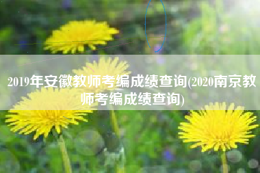 2019年安徽教师考编成绩查询(2020南京教师考编成绩查询)