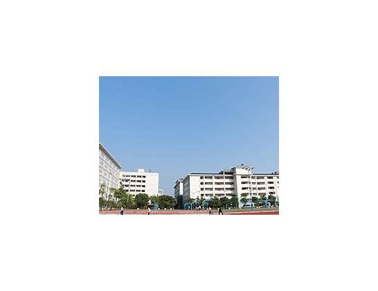 广东东软学院2021年招聘需求
